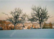 Blick auf Dornstetten im Winter, ca. 1997