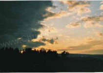 Wolkenwald, ca. 1997 Dornstetten, analoge Kompaktkamera
