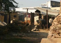 ein Bauernhof am Straßenrand (bei Agra)